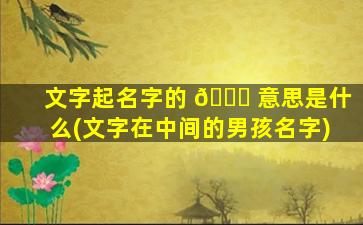 文字起名字的 🐝 意思是什么(文字在中间的男孩名字)